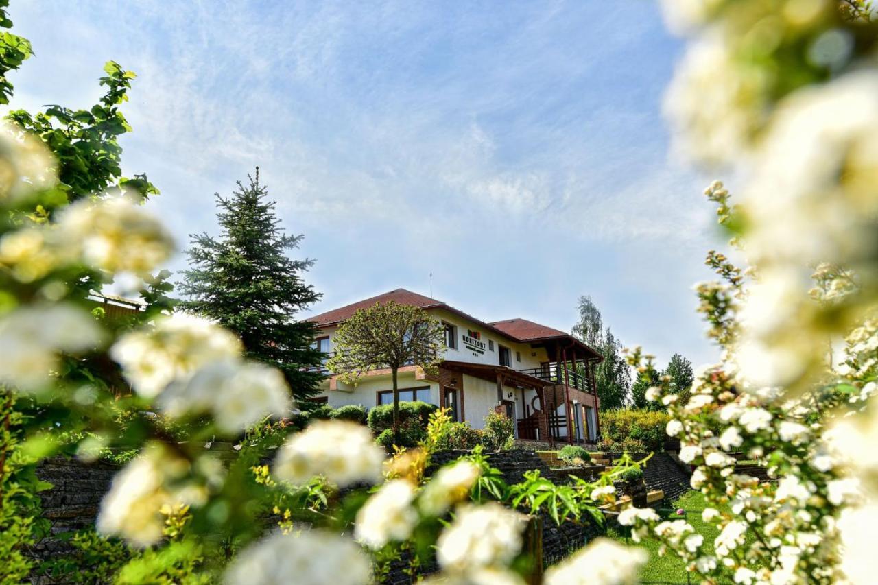 Horizont Panzio Bed and Breakfast Odorheiu Secuiesc Buitenkant foto
