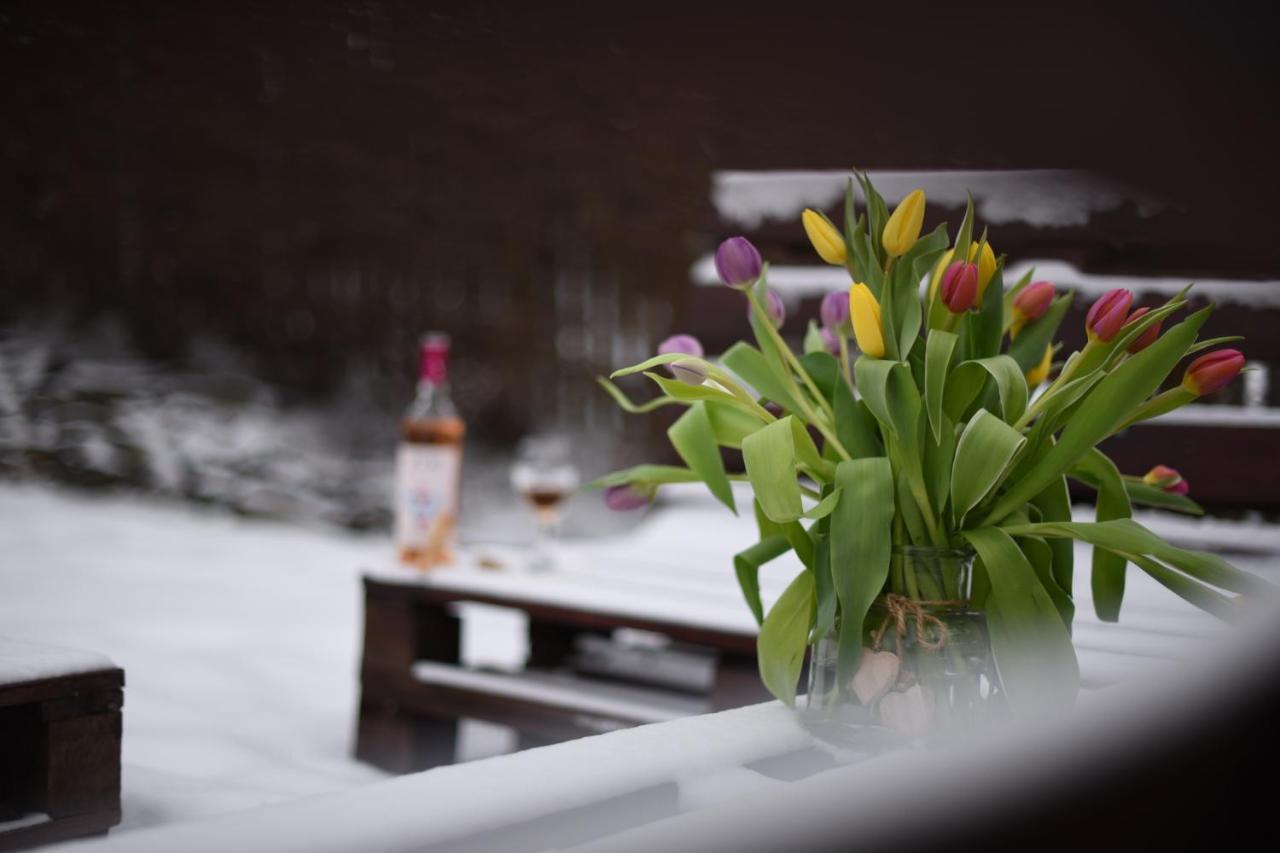 Horizont Panzio Bed and Breakfast Odorheiu Secuiesc Buitenkant foto