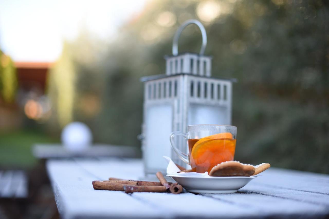 Horizont Panzio Bed and Breakfast Odorheiu Secuiesc Buitenkant foto