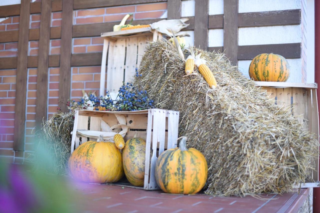 Horizont Panzio Bed and Breakfast Odorheiu Secuiesc Buitenkant foto