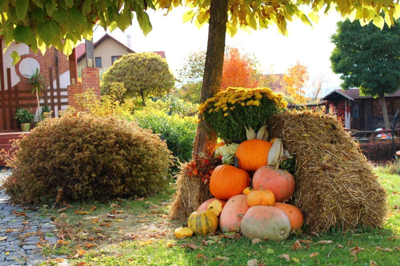 Horizont Panzio Bed and Breakfast Odorheiu Secuiesc Buitenkant foto