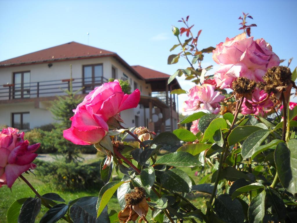 Horizont Panzio Bed and Breakfast Odorheiu Secuiesc Buitenkant foto